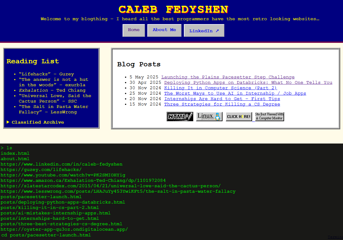 Blog terminal screenshot
